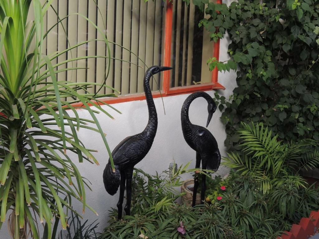 Casa Larrea Inn Палм Дезърт Екстериор снимка